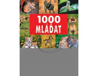 1000 mláďat