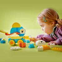 LEGO® DUPLO® 10448 3 v 1: Zvířátka na kolečkách 6