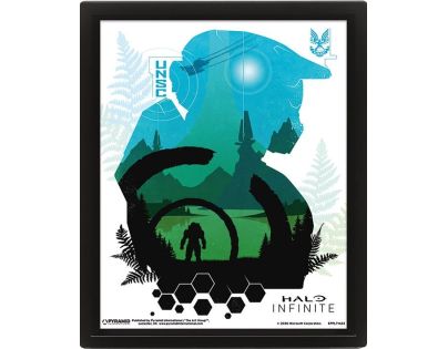 Pyramid International Halo 3D Obraz