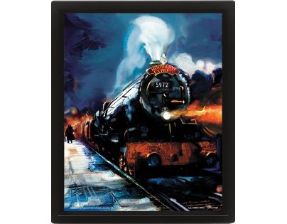 Pyramid International 3D obraz Harry Potter Bradavický expres - Poškozený obal