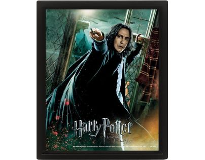 Pyramid International 3D obraz Harry Potter Snape - Poškozený obal