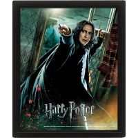 Pyramid International 3D obraz Harry Potter Snape - Poškozený obal