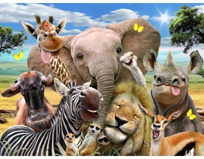 3D Puzzle Afrika selfie 63 dílků