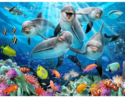 3D Puzzle Delfíni 63 dílků