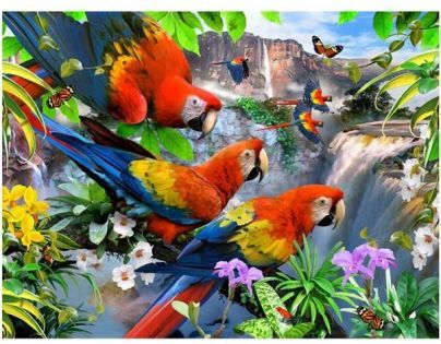 3D Puzzle Papoušci 500 dílků
