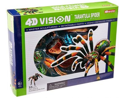 HM Studio 4D Anatomický model Pavouk Tarantule