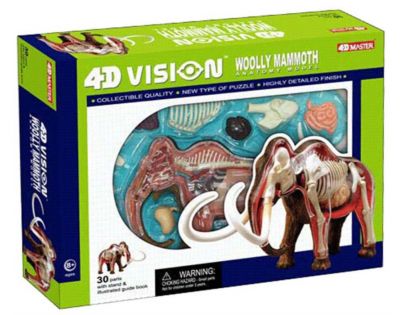 HM Studio 4D Anatomický model Mamut