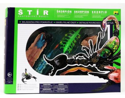 HM studio 4D Anatomický model Štír