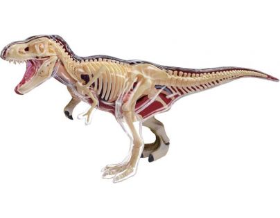 HM Studio 4D Anatomický model T-Rex