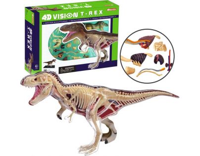 HM Studio 4D Anatomický model T-Rex