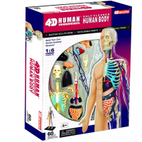 HM Studio 4D Anatomie člověka Tělo 3