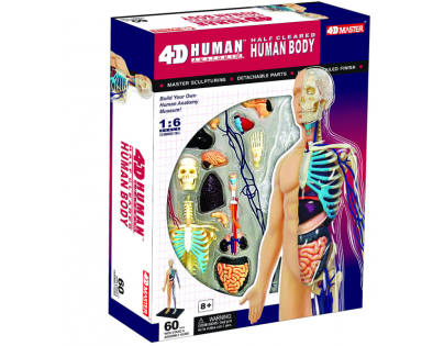 HM Studio 4D Anatomie člověka Tělo