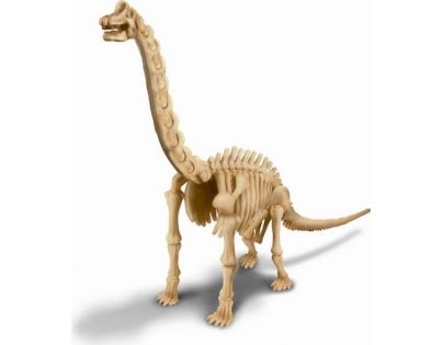 4M Brachiosaurus skládací kostra