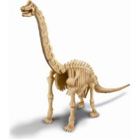 4M Brachiosaurus skládací kostra 2