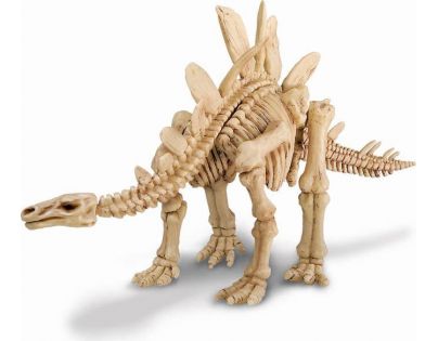 4M Stegosaurus skládací kostra
