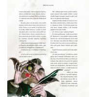 Albatros Harry Potter a Kámen mudrců ilustrované vydání 4