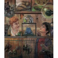 Albatros Harry Potter a vězeň z Azkabanu ilustrované vydání 2