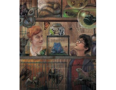 Albatros Harry Potter a vězeň z Azkabanu ilustrované vydání