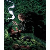 Albatros Harry Potter a vězeň z Azkabanu ilustrované vydání 6