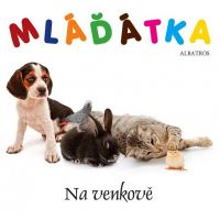 Albatros Mláďátka