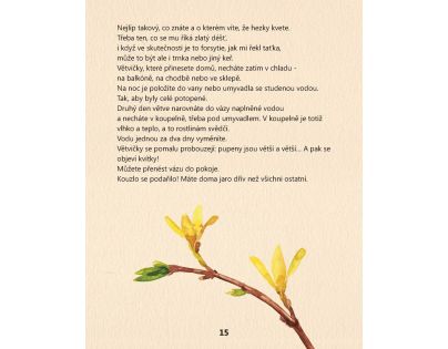 Albatros Moje první zahrádka - Poškozený obal