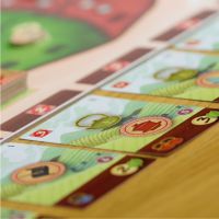 Albi Čajová zahrada 5