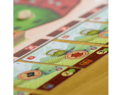 Albi Čajová zahrada