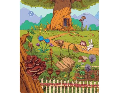 Albi Kouzelné čtení Kniha Dianka ve světě kouzel