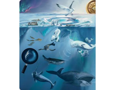 Albi Kouzelné čtení kniha Tajemství moří a oceánů