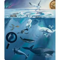 Albi Kouzelné čtení kniha Tajemství moří a oceánů 4