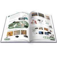 Albi Kouzelné čtení Matematika hravě 5