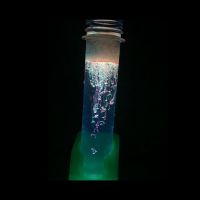 Albi Neonové experimenty - 2 vydání 4