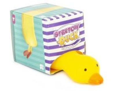 Alltoys Natahovací Kachna