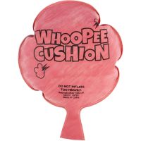 Alltoys Prdící polštářek 3