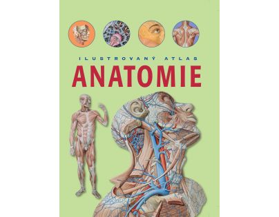Sun Anatomie Ilustrovaný atlas