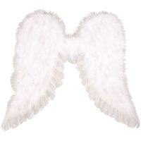 Anděl Přerov Andělská křídla 45 x 39 cm