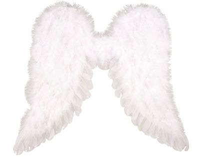 Anděl Přerov Andělská křídla 45 x 39 cm