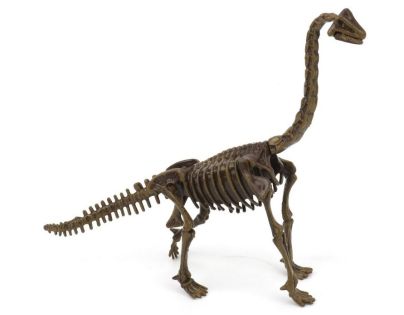 Archeologický set 3D Brachiosaurus