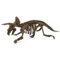 Archeologický set 3D Triceratops