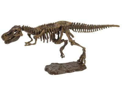 Archeologický set 3D Tyranosaurus