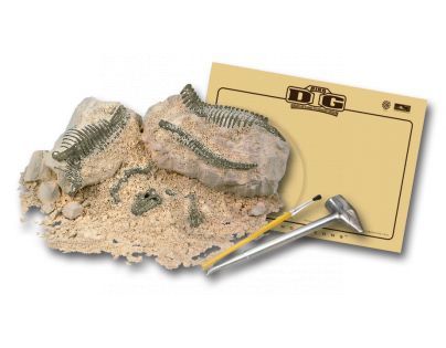 Archeologie - Iguanodon Dino horizons D4382