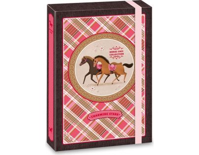Ars Una Box na sešity Charming Stars koně A4
