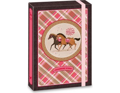 Ars Una Box na sešity Charming Stars koně A5