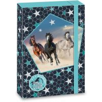 Ars Una Box na sešity Morning Star koně A4