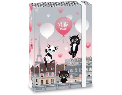 Ars Una Box na sešity Think Pink 20 A4