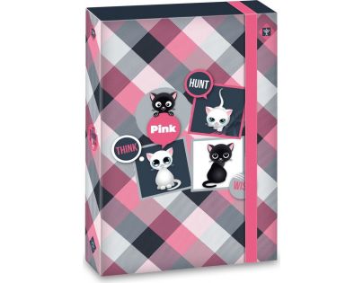 Ars Una Box na sešity Think Pink A5