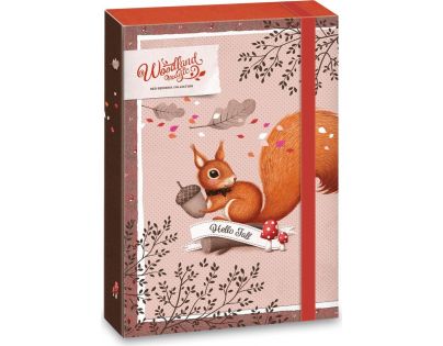 Ars Una Box na sešity Veverka Woodland Magic A5