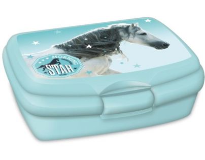 Ars Una Box na svačinu Morning Star koně