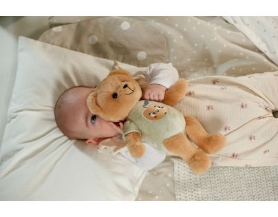 BABY born for babies Teddy, 26 cm