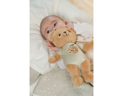 BABY born for babies Teddy, 26 cm